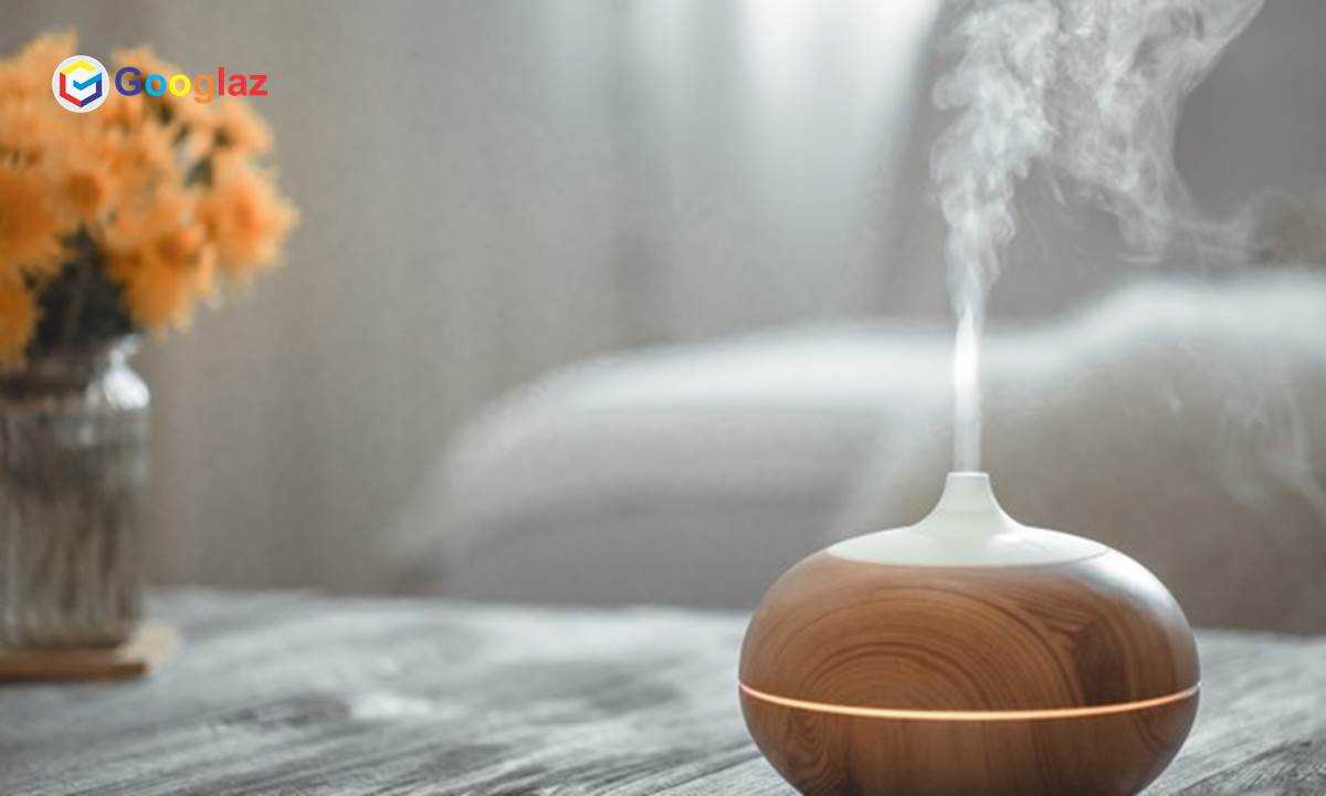 Humidifier Review